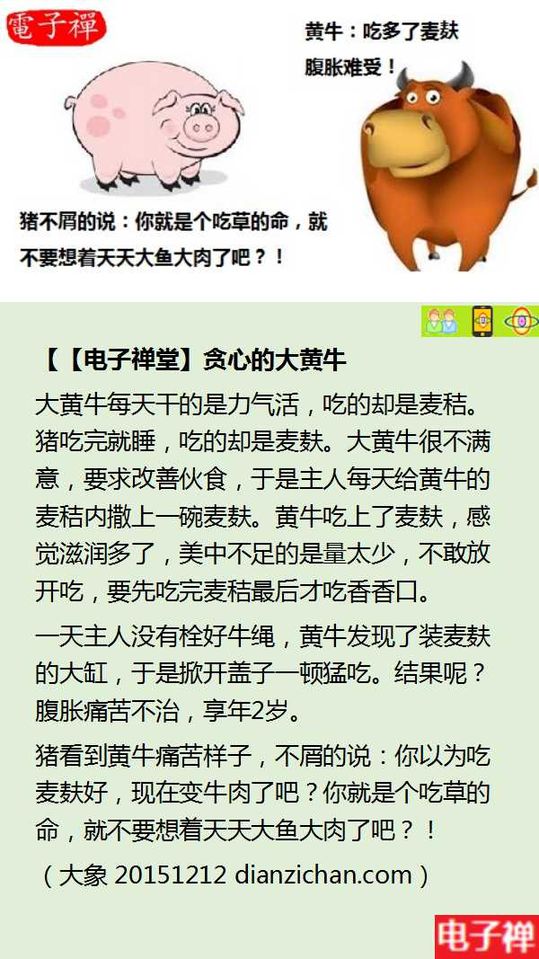 点选图片以观看原图