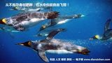 档案名称 : Slide38.JPG
档案大小 : 42KB
影像尺寸 : 480x270
加入日期 : 十二月 11, 2015 Slide38.JPG