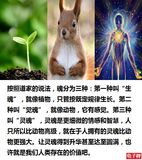 档案名称 : linghun.jpg
档案大小 : 133KB
影像尺寸 : 480x540
加入日期 : 一月 08, 2017 linghun.jpg