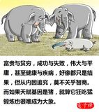 档案名称 : zhu.jpg
档案大小 : 114KB
影像尺寸 : 480x540
加入日期 : 十二月 23, 2016 zhu.jpg