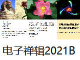 【电子禅辑】2021b