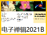 【电子禅辑】2021b