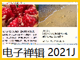 【电子禅辑】2021j