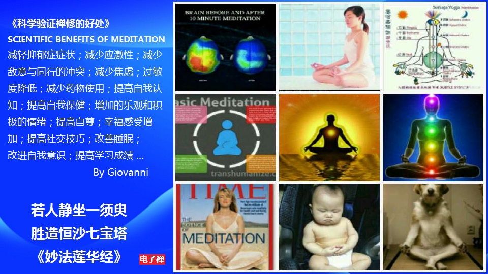 电子禅论坛__您我的精神家园