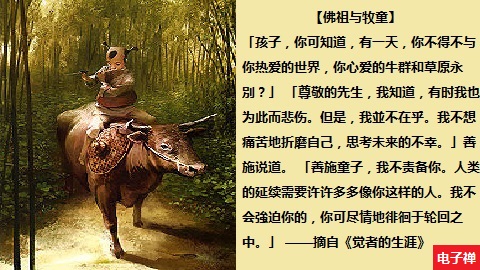 电子禅论坛__您我的精神家园